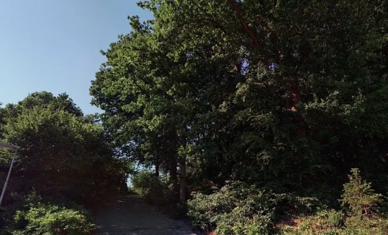 Prodej podílu lesa, Luhačovice, 852931 m2