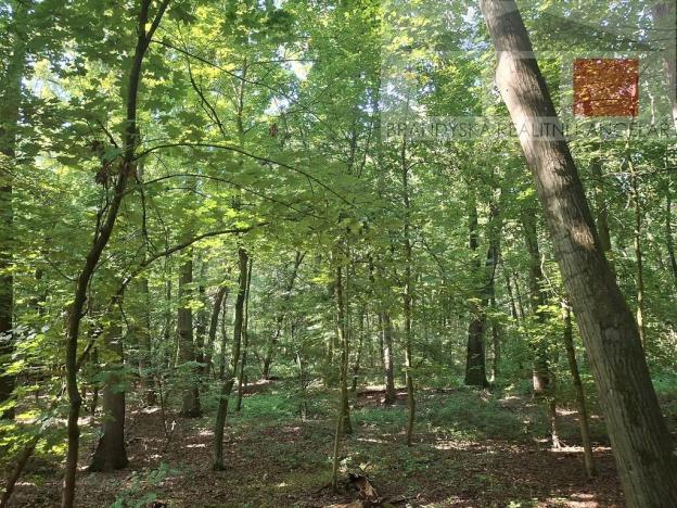 Prodej lesa, Přerov nad Labem, 7889 m2