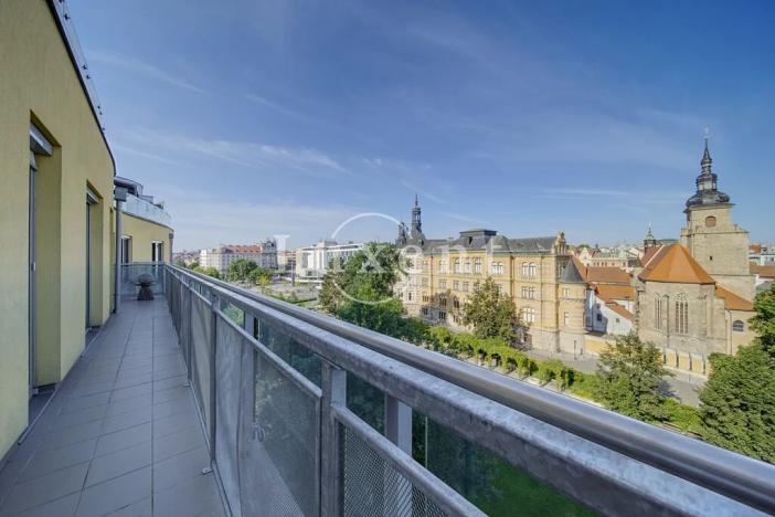 Pronájem bytu 4+kk, Plzeň, Šafaříkovy sady, 195 m2