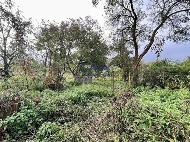 Prodej rodinného domu, Lipov, 176 m2