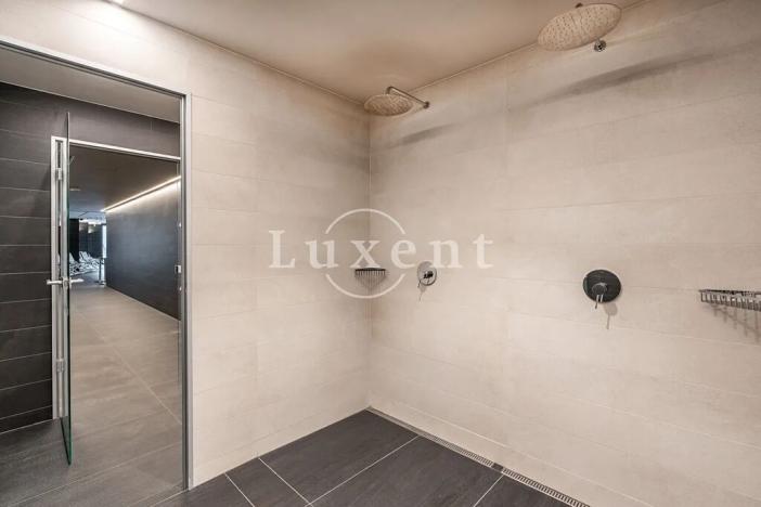 Pronájem bytu 4+kk, Praha - Smíchov, Holečkova, 178 m2