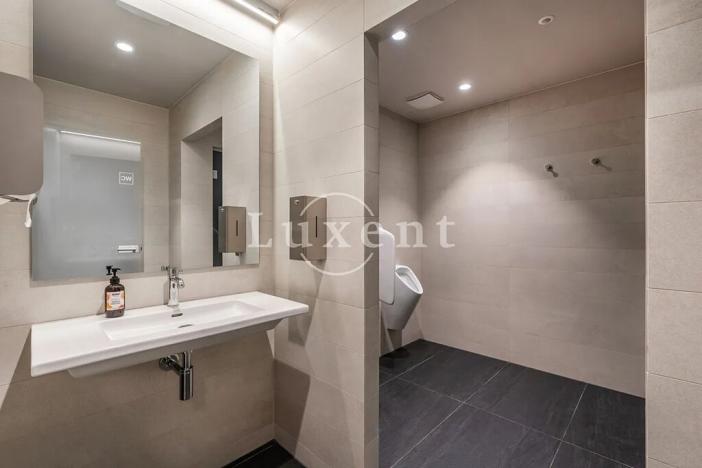 Pronájem bytu 4+kk, Praha - Smíchov, Holečkova, 178 m2