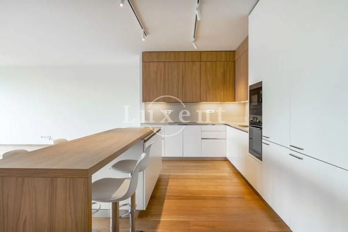 Pronájem bytu 4+kk, Praha - Smíchov, Holečkova, 174 m2