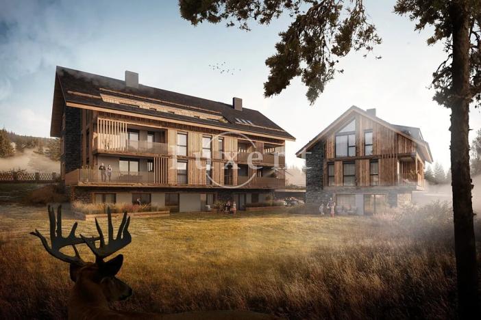 Prodej bytu 1+kk, Prášily, 49 m2