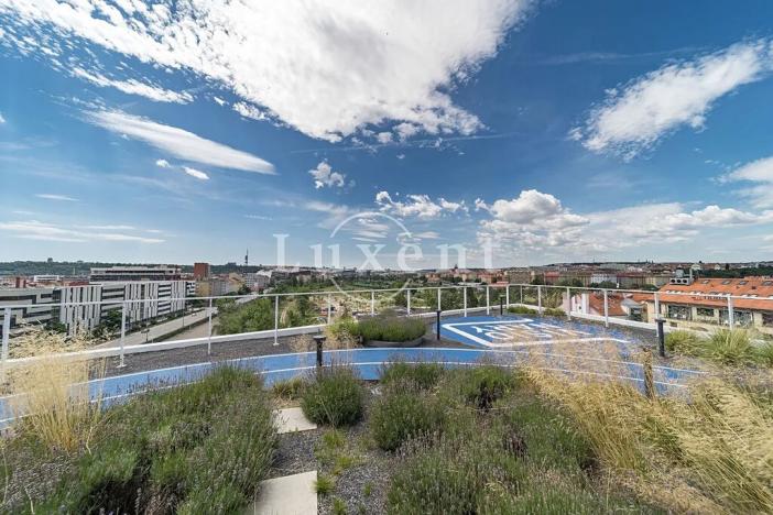 Pronájem kanceláře, Praha - Holešovice, Plynární, 620 m2