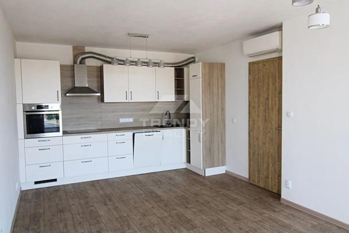 Pronájem bytu 2+kk, Plzeň, Otýlie Beníškové, 49 m2