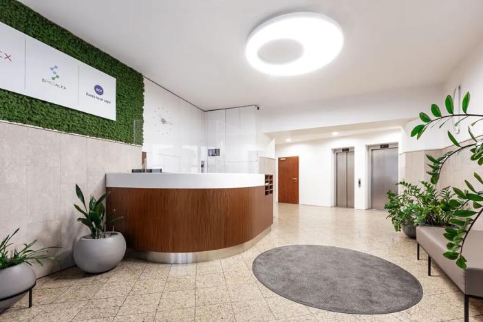 Pronájem kanceláře, Praha - Nové Město, Truhlářská, 250 m2