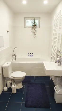 Pronájem bytu 3+kk, Brno, Rakovecká, 100 m2