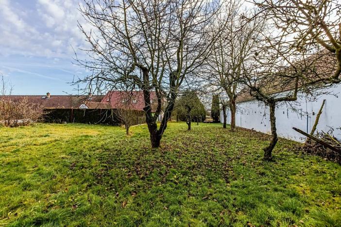 Prodej pozemku pro bydlení, Dolní Bukovsko, 800 m2