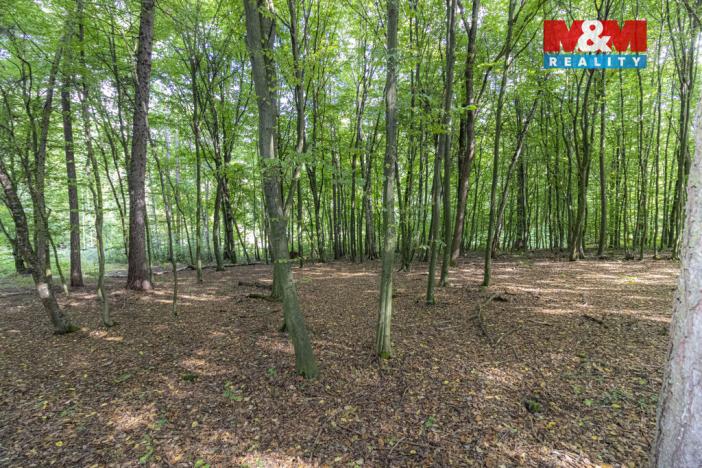 Prodej zahrady, Kostelec nad Černými lesy - Kostelec nad Černými Lesy, 10316 m2