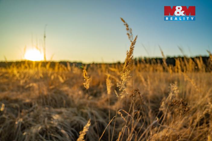 Prodej pozemku pro bydlení, Nová Ves, 1098 m2