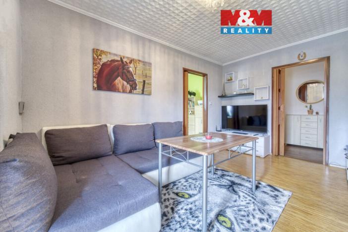 Prodej bytu 3+1, Líně, U Kotelny, 60 m2