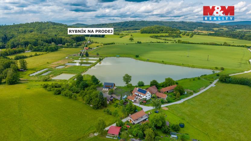 Prodej rybníku, Ostružno, 3377 m2