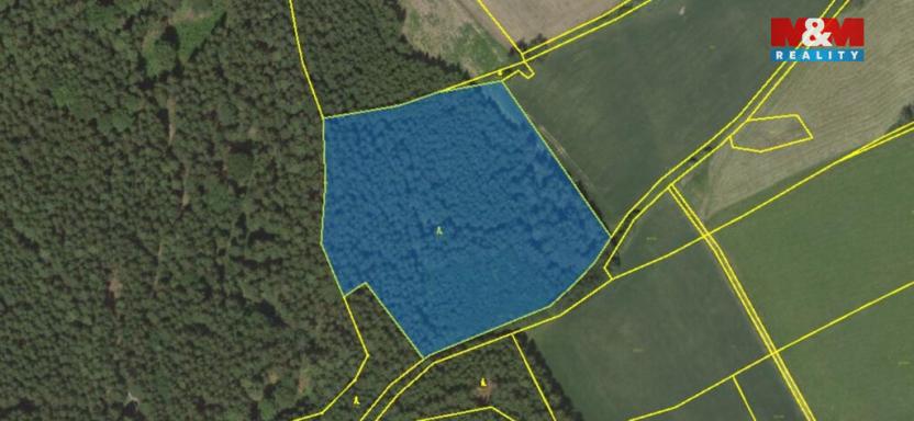 Prodej lesa, Borovnice, 38344 m2