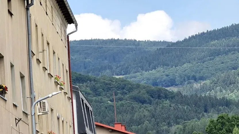 Prodej bytu 1+1, Mladé Buky, 49 m2