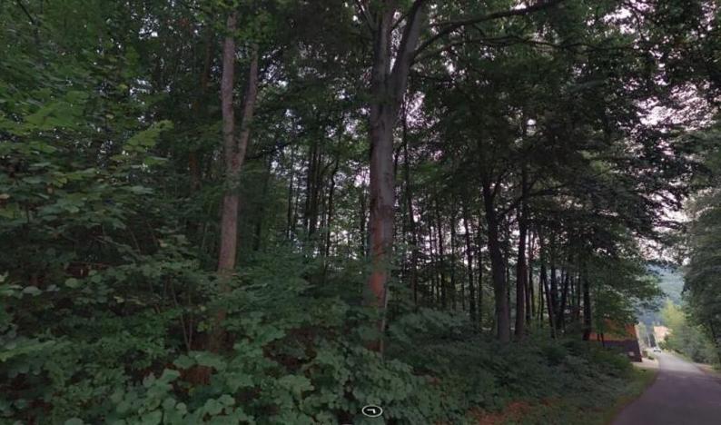 Prodej podílu lesa, Velké Hamry, 2705 m2