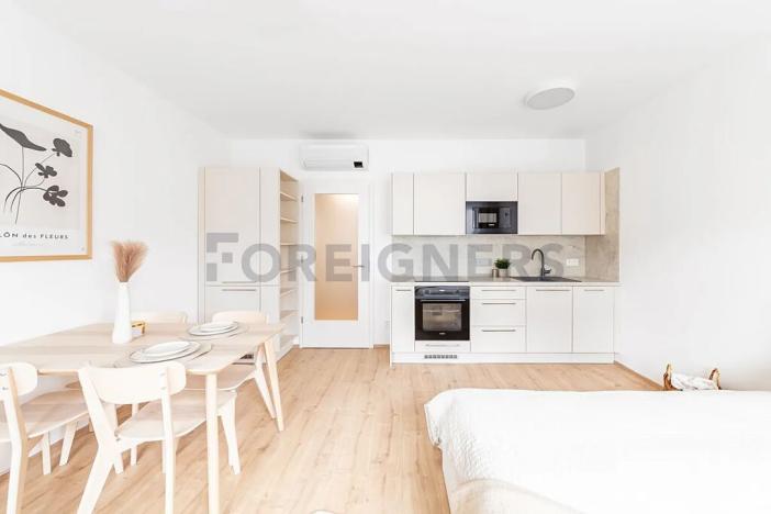 Pronájem bytu 1+kk, Brno, Spolková, 31 m2