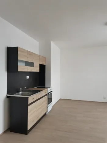 Pronájem bytu 1+kk, Chotěšov, 36 m2