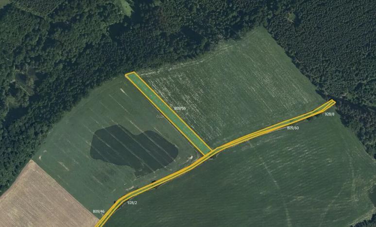 Prodej louky, Letohrad, 11377 m2