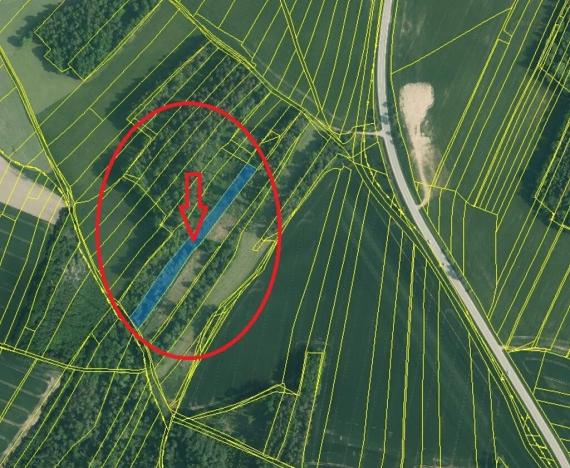 Prodej lesa, Temelín, 6256 m2