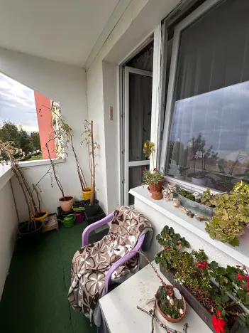 Prodej bytu 1+1, Brno, Foltýnova, 44 m2