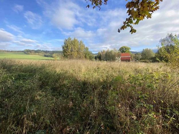 Dražba pozemku pro bydlení, Králíky, 3207 m2