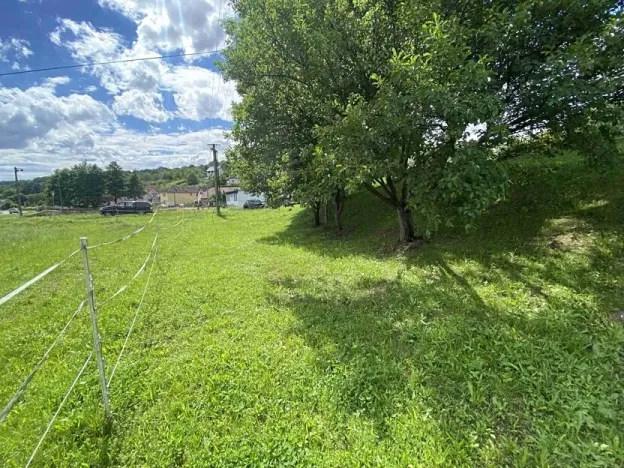 Dražba pole, Šarovy, 286 m2