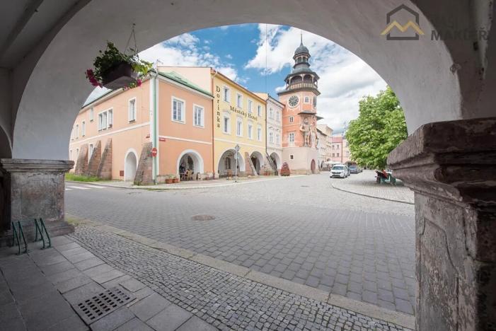 Prodej rodinného domu, Rudník, 433 m2