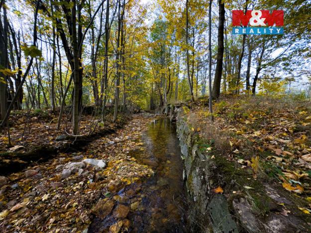 Prodej rybníku, Nové Město pod Smrkem, 28832 m2