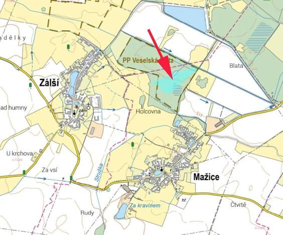 Prodej podílu louky, Mažice, 18811 m2