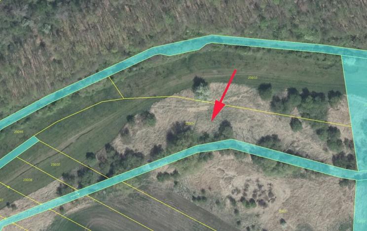 Prodej louky, Staňkovice, 6300 m2