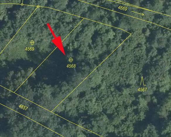 Prodej lesa, Železný Brod, 987 m2