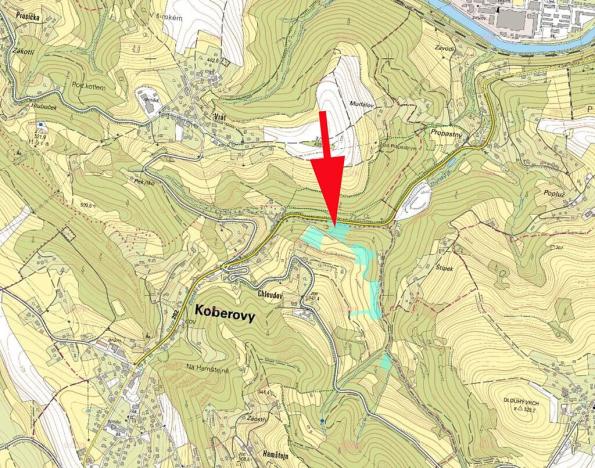 Prodej lesa, Železný Brod, 987 m2