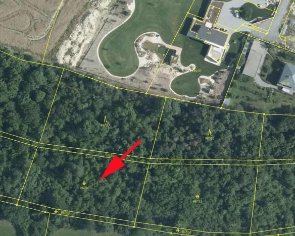 Prodej lesa, Skuteč, 2985 m2