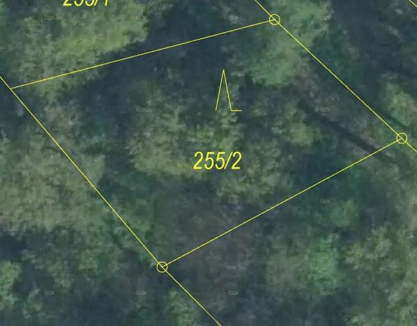 Prodej lesa, Karviná, 488 m2