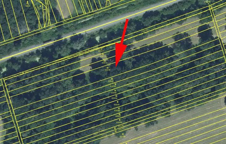 Prodej louky, Kojetín, 4137 m2