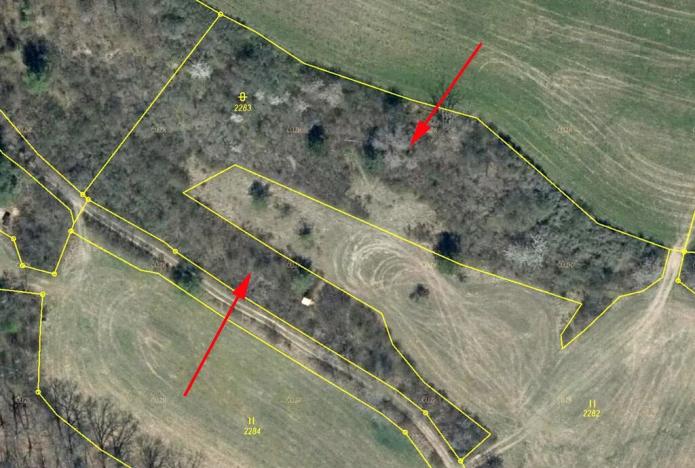 Prodej louky, Úštěk, 5477 m2