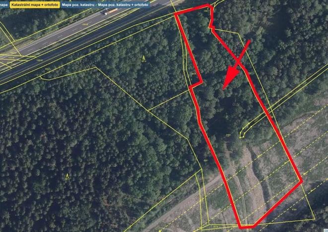 Prodej lesa, Sokolov, 13827 m2