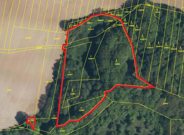 Prodej lesa, Zlín, 9823 m2