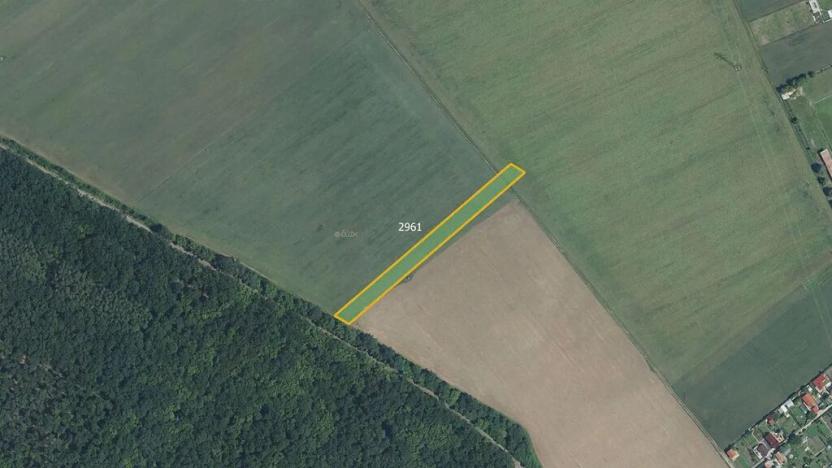 Prodej podílu pole, Břeclav, 4189 m2