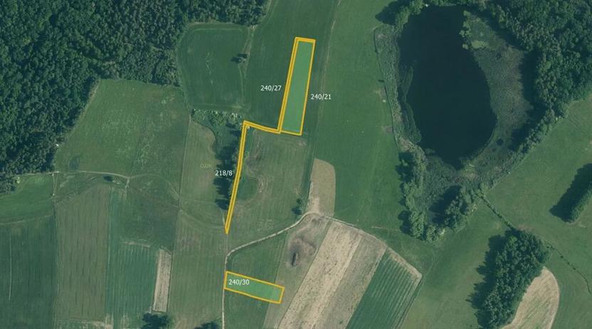 Prodej podílu pole, Novosedly nad Nežárkou, 11823 m2