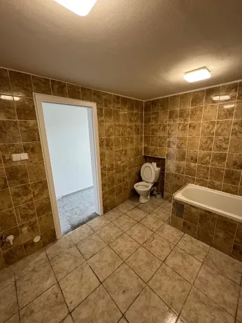 Prodej rodinného domu, Děčín, Riegrova, 250 m2