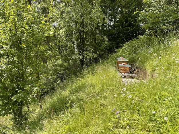 Prodej domu, Bernartice, 150 m2