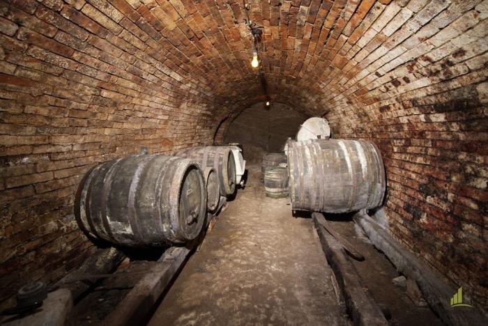 Prodej ubytování, Vrbice, 103 m2