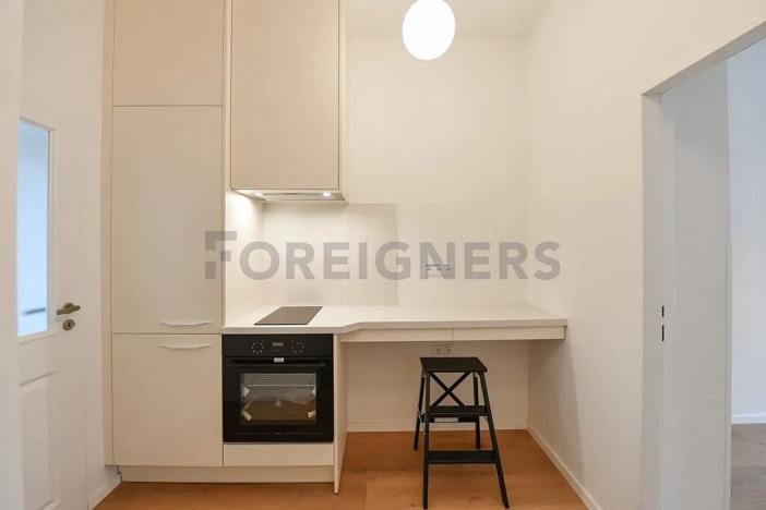 Pronájem bytu 1+kk, Praha - Podolí, U Kublova, 29 m2
