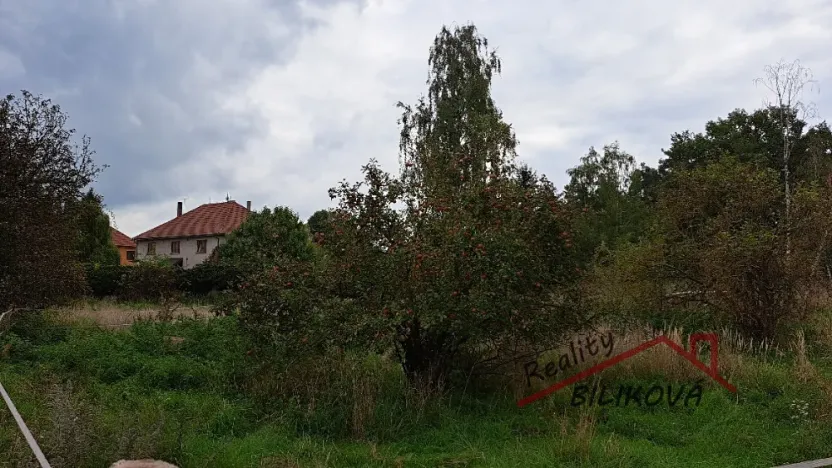 Prodej pozemku pro bydlení, Záryby, 1001 m2