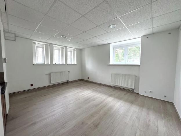 Pronájem obchodního prostoru, Praha - Nusle, Na Bučance, 35 m2