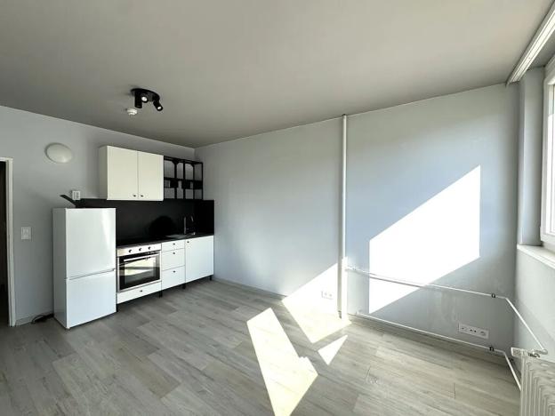 Pronájem bytu 1+kk, Praha - Střížkov, Děčínská, 28 m2