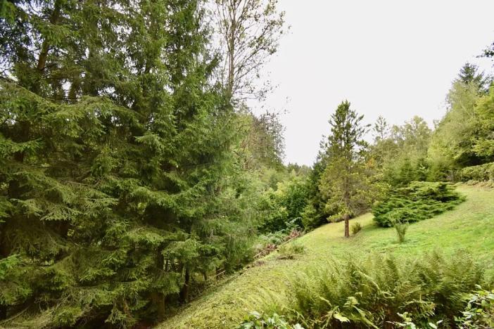 Prodej chalupy, Číhošť, 75 m2