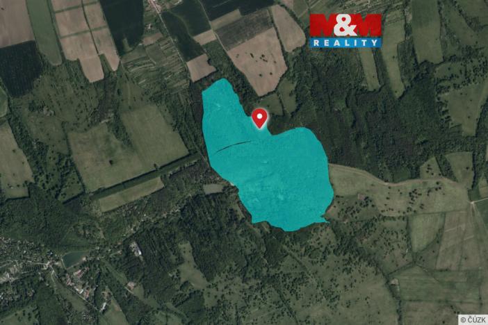 Prodej lesa, Kněždub, 845297 m2